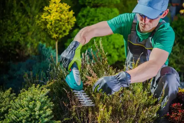 landscaping services Rudolph